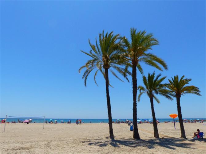 Apartamento En El Centro De Elche Con Terraza La Alborada Buitenkant foto