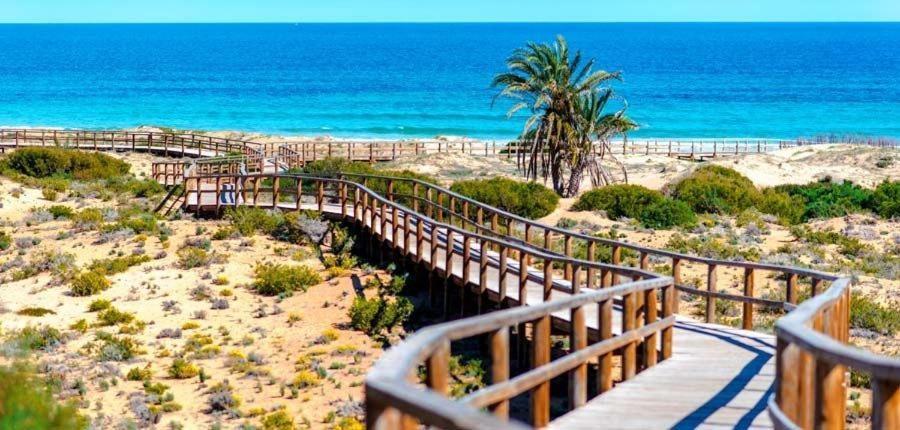 Apartamento En El Centro De Elche Con Terraza La Alborada Buitenkant foto