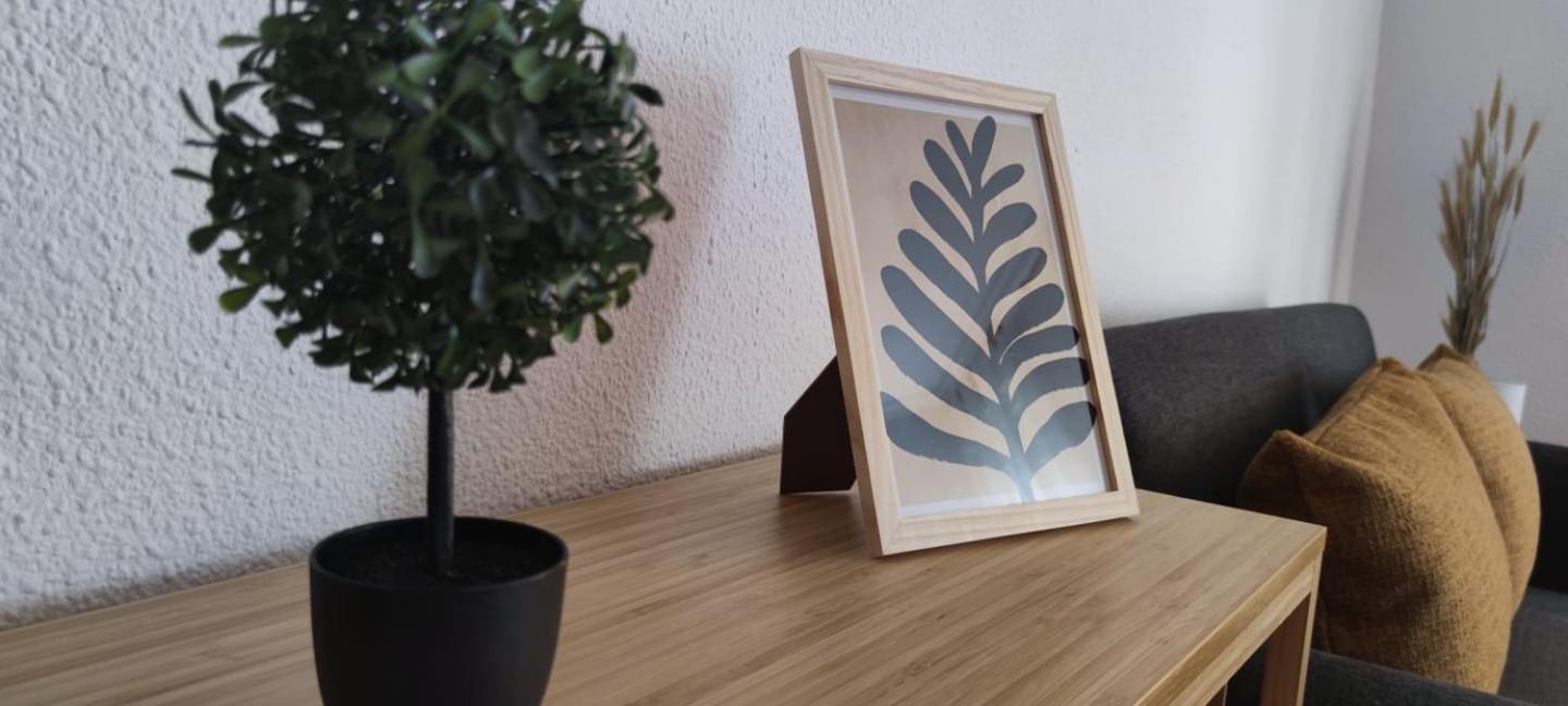 Apartamento En El Centro De Elche Con Terraza La Alborada Buitenkant foto